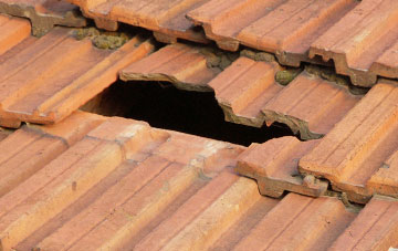 roof repair Cilgwyn