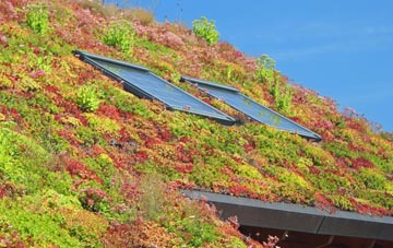Cilgwyn living roof systems
